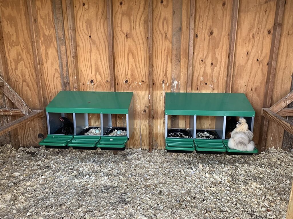 Nesting Box for Chickens