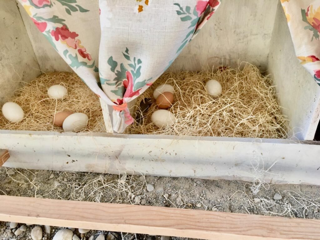 Chicken Bedding