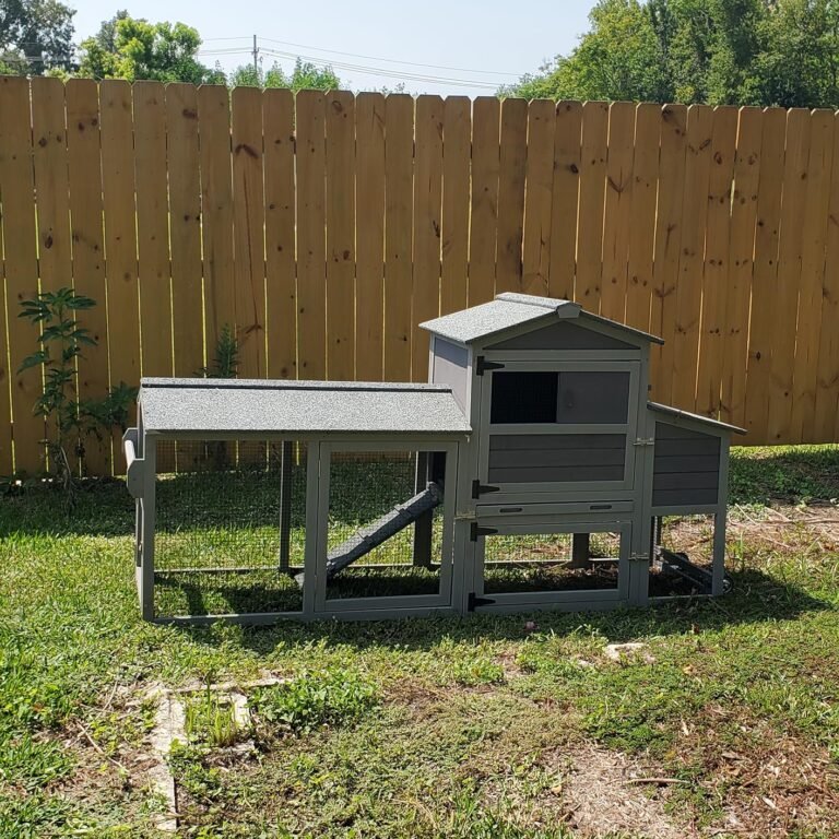 Wooden Cheicken Coop With Wheels