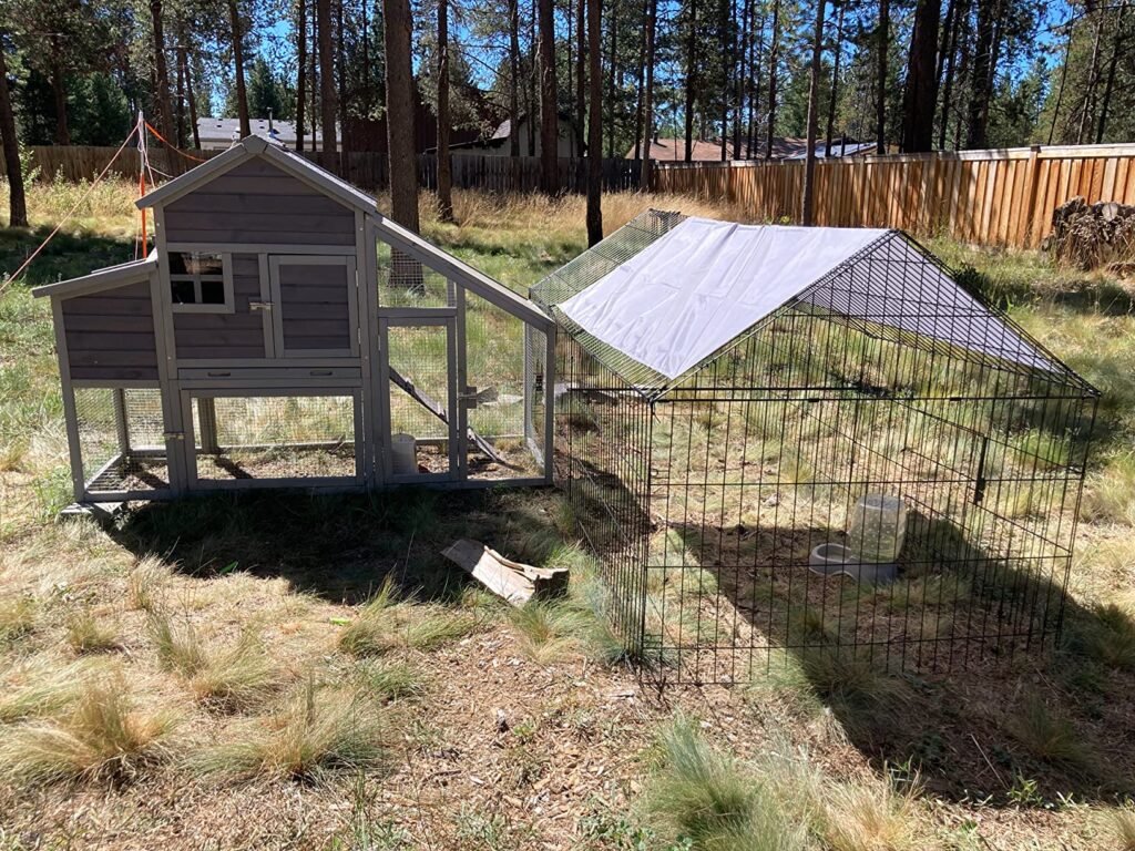 chicken coop